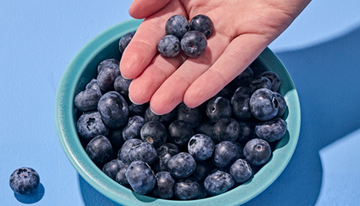 Fresh blueberries in a bowl with hand-held berries on a blue background, promoting a summer blueberry festival.